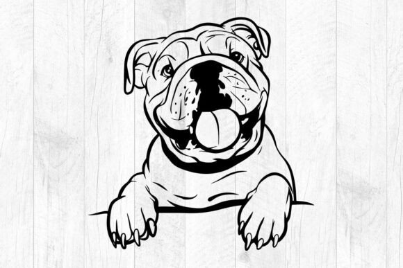 American Bulldog Svg: A Hands-On Design Review