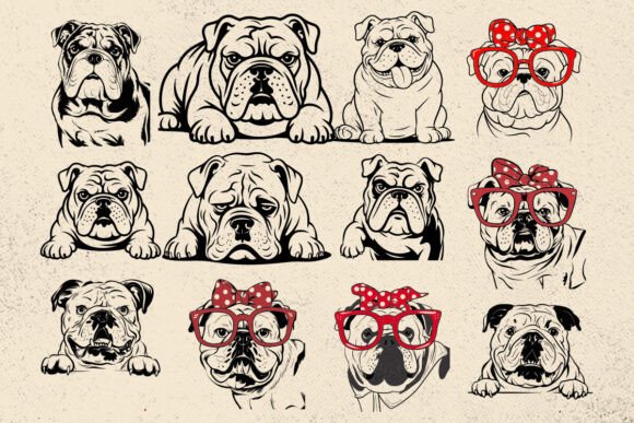 American Bulldog Svg: Embroidery Design Review