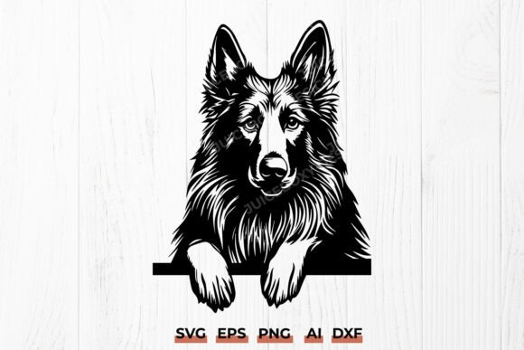 Belgian Tervuren Dog SVG: A Designer's Review