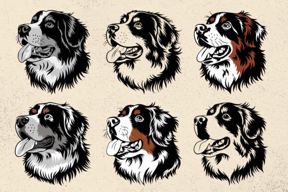 Bernese Mountain Dog Svg Bundles Files