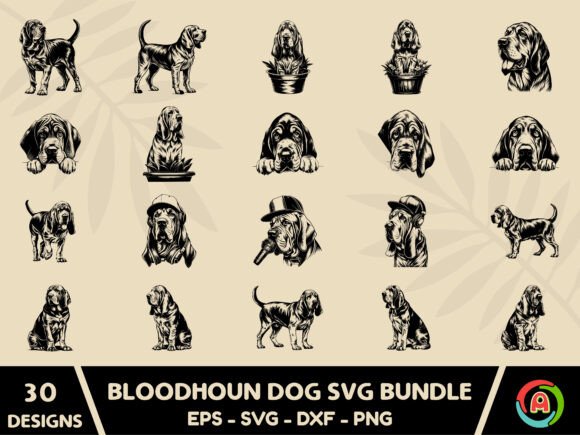 Bloodhound Dog SVG Bundle: A Designer’s Project Review