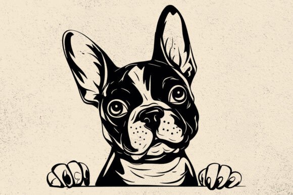 Boston Terrier SVG: An Embroidery Designer's Review