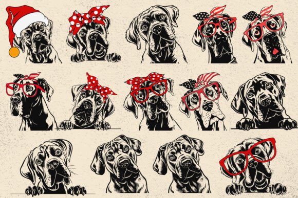 Cane Corso Svg, Dog Svg File for Cricut