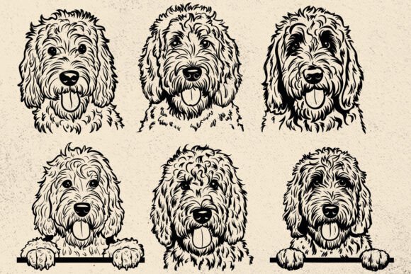 Golden Doodle SVG Review: Dog Design for Embroidery