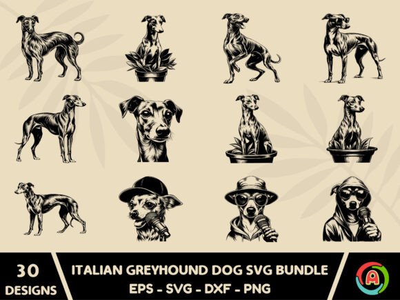 Italian Greyhound Dog SVG Bundle Review