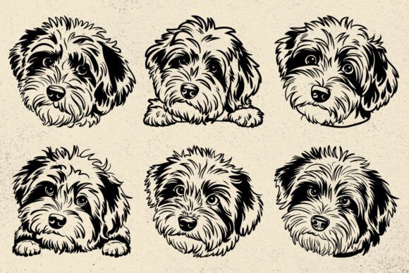 Mini Aussiedoodle Dog Svg Files: A Designer's Review