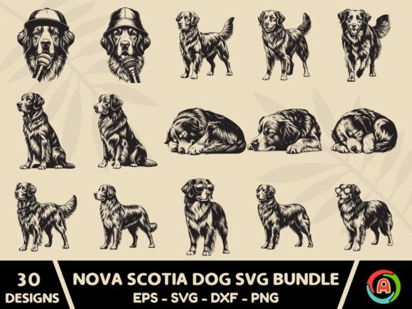 Nova Scotia Toller Dog SVG Bundle Review