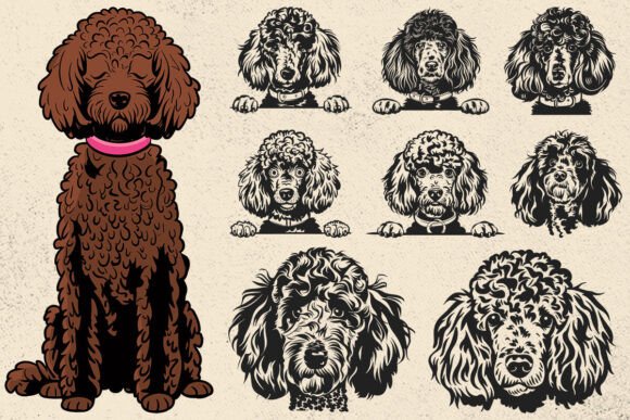 Poodle Svg, Dog Svg File for Cricut Svg