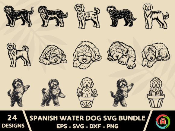 Spanish Water Dog Svg Bundle Embroidery Review