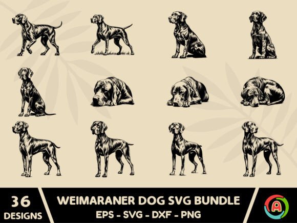 Weimaraner Dog Svg Bundle – A Designer's Take