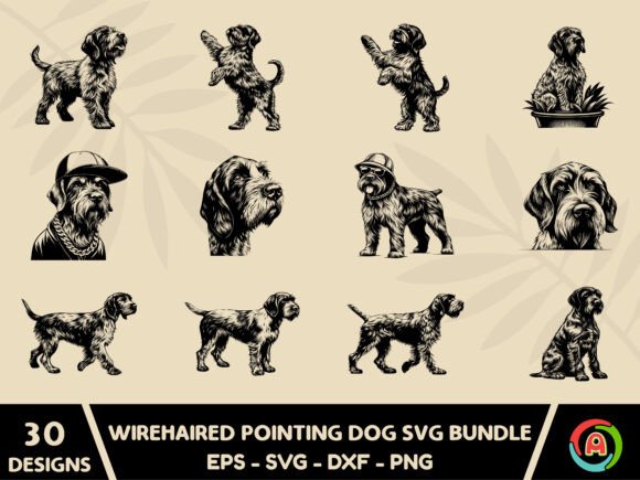 Wirehaired Pointing Griffon Svg Dog Svg